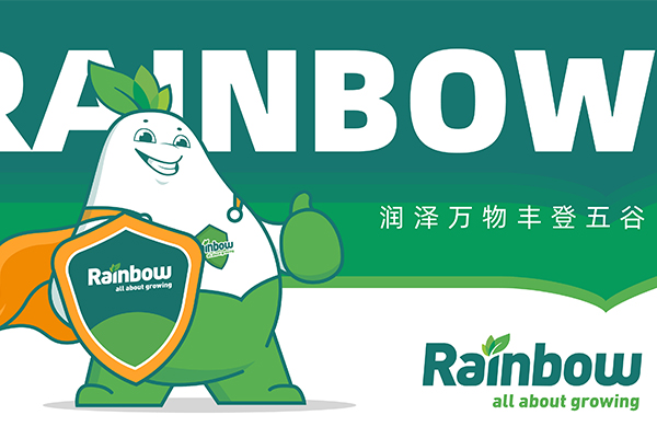 如何更好的構(gòu)筑我的智·愛品牌？