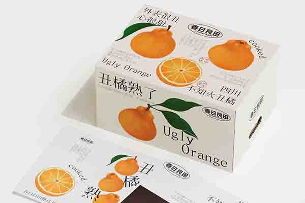 水果包裝設(shè)計(jì)公司     |   橙子包裝設(shè)計(jì)公司