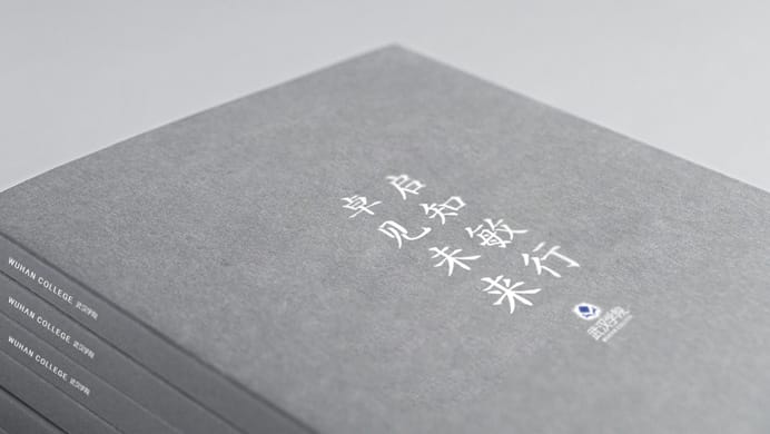 武漢學院畫冊廣告